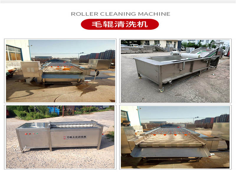 姜毛輥清洗機