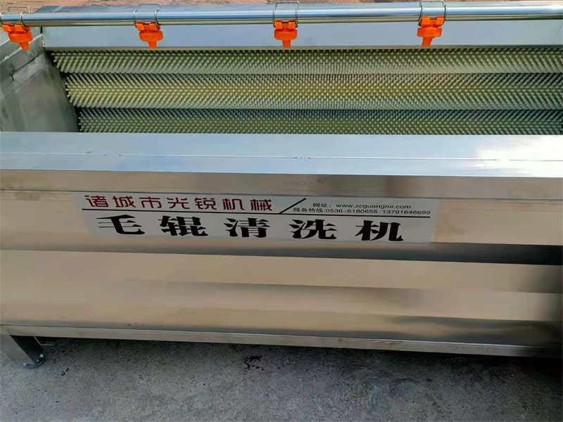 姜毛輥清洗機