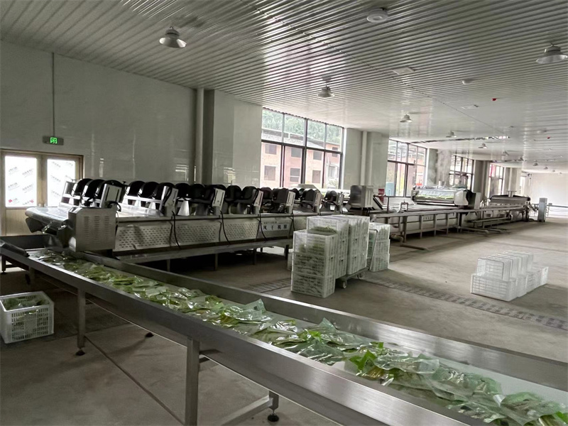 泡椒竹筍巴氏滅菌、冷卻、風(fēng)干流水線(xiàn)