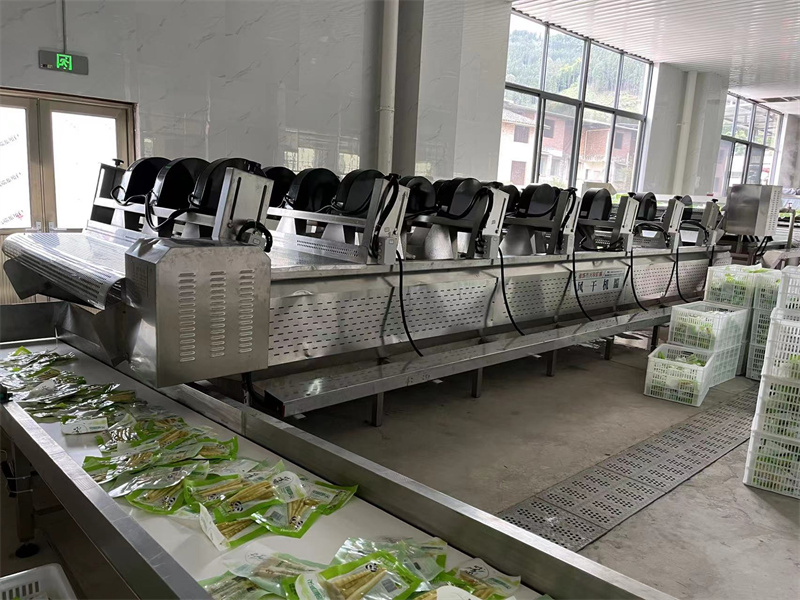 泡椒竹筍巴氏滅菌、冷卻、風(fēng)干流水線