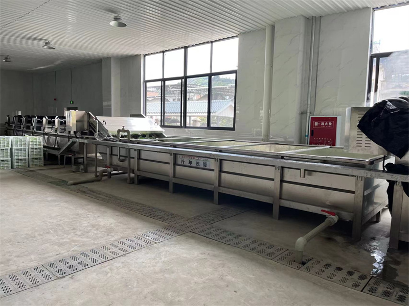 泡椒竹筍巴氏滅菌、冷卻、風(fēng)干流水線